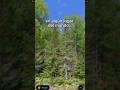 Una ruta atrapada en un sueño #dreamcore #googleearth #liminalspace #liminal #streetview #mapa #ruta