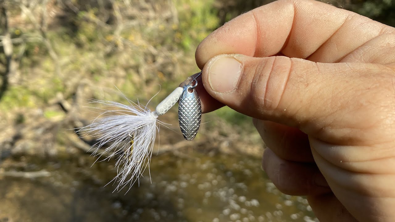 Fishing with a Cheap SPINNER! Rooster Tail Fishing! from WALMART! It was a  Creek kind of day! 