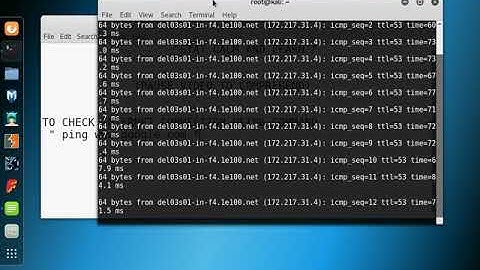 linux command to check internet connection