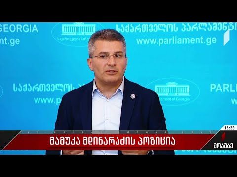 მამუკა მდინარაძის პოზიცია