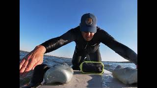 Bishop Boards Paddlefish prone paddle