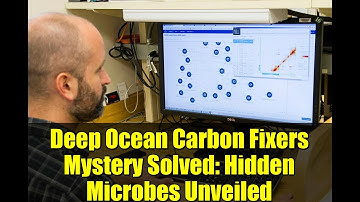Deep Ocean Carbon Fixers Mystery Solved: Hidden Microbes Unveiled