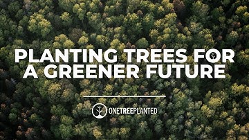 The Tree Planting Charity That