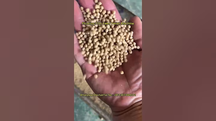 40-60kg/h Floating Fish Feed Pellet Machine for Fish Feed Pellets Making at Best Price from Taizy