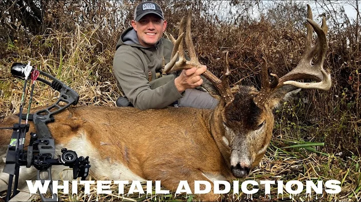 Four-Year Quest For An Ohio Buck Named Woody with Justin Hollandsworth