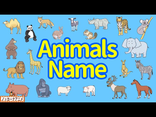 Animals Name | Talking Flashcards | Video for Kids | フラッシュカードで動物の名前をおぼえよう！英語知育アニメ