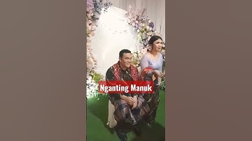 1 Tahapan Pernikahan Adat Karo...