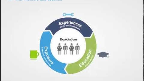 Deloitte Learning and Development Strategy