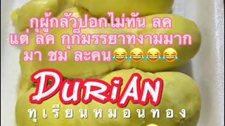 Durian ทุเรียนหมอนทอง น่าเห็นใจแม่ค้า