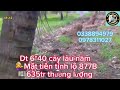 Bán đất nền mặt tiền đường tỉnh lộ 877B ,thuộc xã Tân thới huyện Tân Phú đông tg