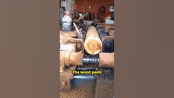 This Machine Turns Logs into Paper-Thin Sheets! 🪵😲 #Shorts