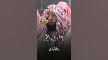تلاوة خاشعة الشيخ بدر التركي الحرم المكي