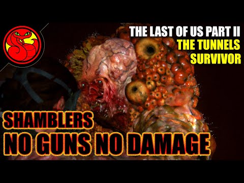 Video: The Last Of Us Part 2 - The Tunnels: Semua Item, Puzzle Mesin Penjual Otomatis, Dan Cara Mengalahkan Shamblers