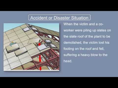 Examples of typical workplace accidents/Falling/Fall from losing footing on roof during plant