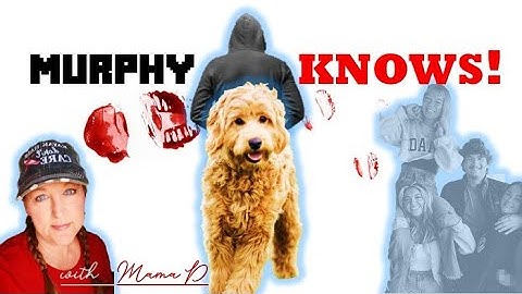 LIVE CHAT!!! "The DEVIL Is In The DETAIL!  Moscow Murders and Other True Crime Updates" with Mama D!