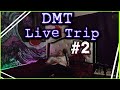 DMT Live Trip #2