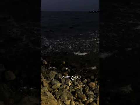 فى قصر بعيد ولا فى الاحلام بدون موسيقى اغنية تامر عاشور