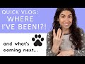 VLOG: Where I&#39;ve been, What&#39;s coming next