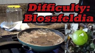 How to Cook Dirt: Growing the Worlds Smallest Cactus