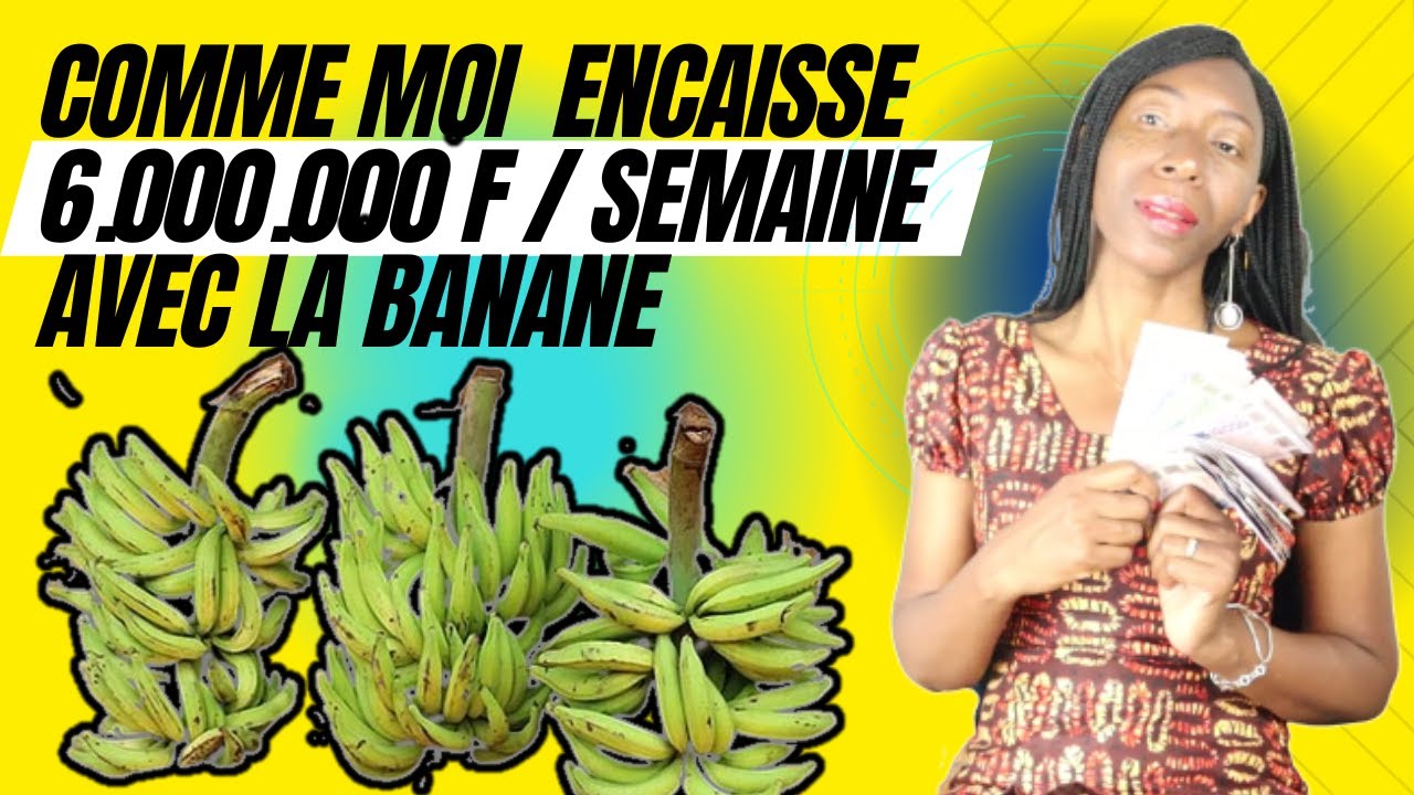 Le BUSINESS JUTEUX de la BANANE PLANTAIN avec 10.000fcfa