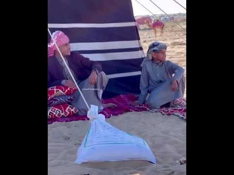 عمر فتحي انا السيناوي فوق فوق