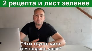 Сделай опрыскивание для более зеленых листьев - 2 рецепта