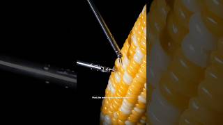 Robot performs microsurgery on corn kernel !🌽 #science #sciencefacts