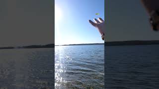 Google Pixel 9 Slow-Motion Camera test #2026 #großerplönersee #Deutschland