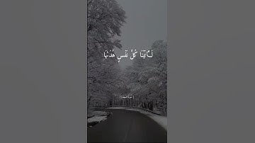 ولو ترى اذ المجرمون ناكسوٱ رءوسهم || القارئ اسلام صبحي || ستوريات || حالات واتس اب || 😴❤️||