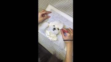 Your Pet Deserves to Be a Work of Art – Custom Wool Felt Portraits!