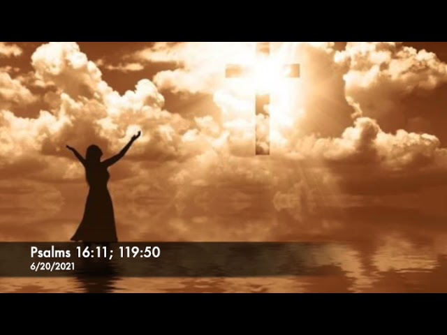 Series: Part 5- The Word: God's Presence