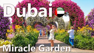 Dubai Miracle Garden is a Beautiful Flower Park Walking Tour 4K 🇦🇪