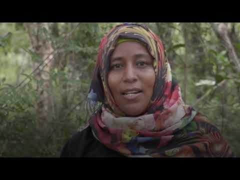 Tanzania’s Coastal Forests: Meet the people you’ve saved land with