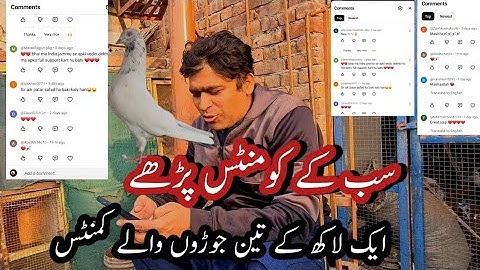 Mehngy Kabotar or comments subscribers k 1 lakh k 3 jory @pigeonsandparrots8741 
