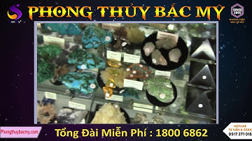 5 cây phong thủy hút độc chất cực tốt trong nhà
