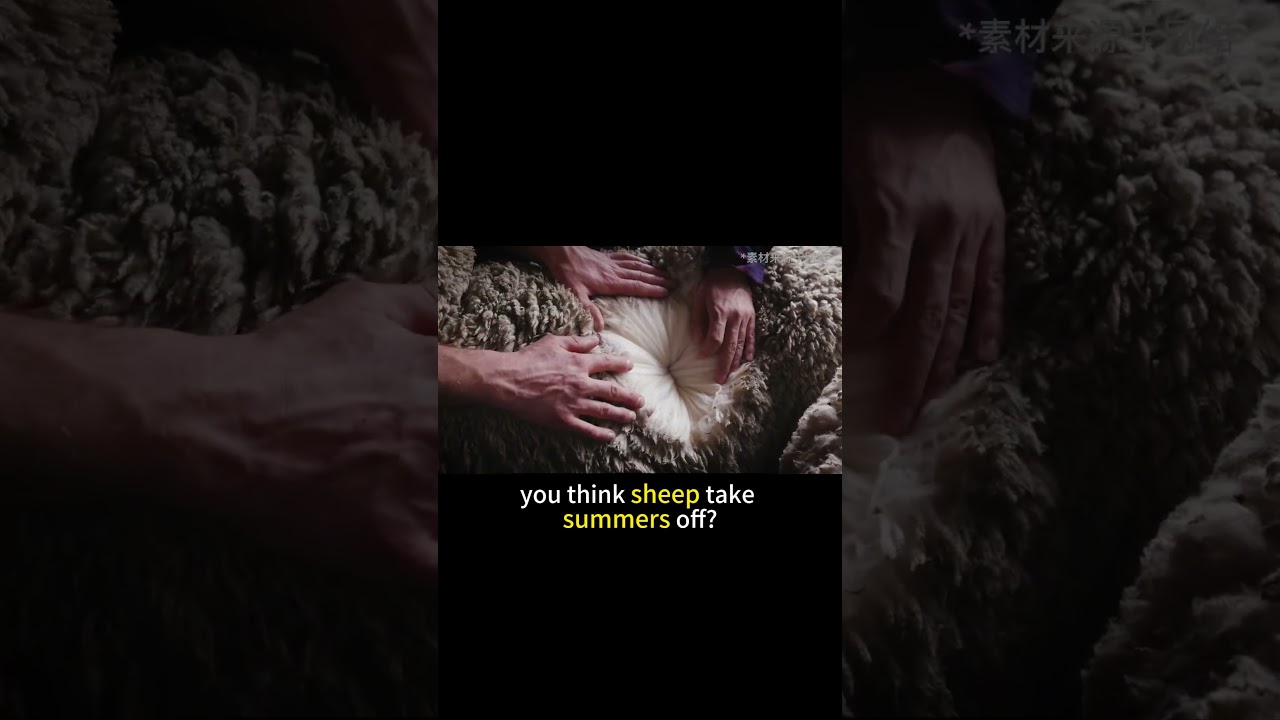 Wool isn’t for summer?