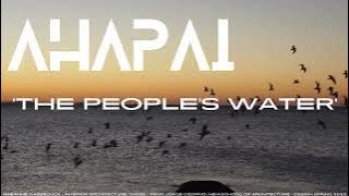 AHAPAI  - A Binational Pier   Park Project for Interior Architecture Thesis