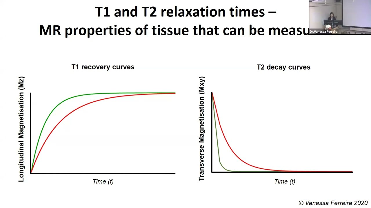 Investigation of Cardiovascular Diseases Using CMR Parametric Mapping