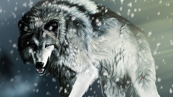The Amazing Sea Wolves Of Chernobyl |After The nuclear disaster-HD documentary films