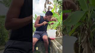 ¿Ustedes harían esto en casa? #receta #ideas #tips #amazonia #shortvideo