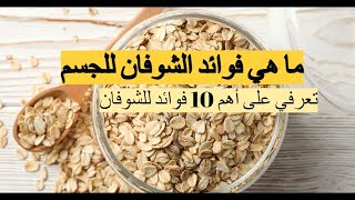 فوائد الشوفان للجسم - تعرف على أهم 10 الفوائد الصحية للشوفان وأهم ماسكات الشوفان