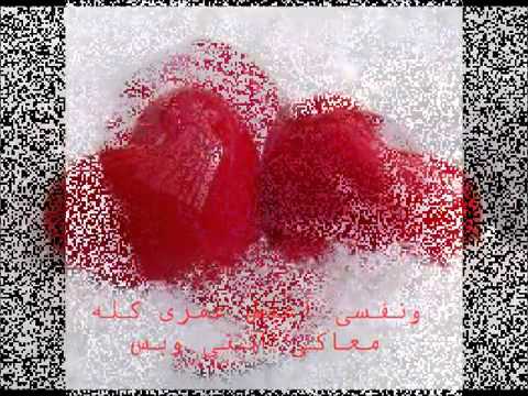 النهارده عيد ميلاد حماده هلال 2014