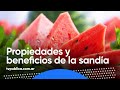 Sandía de estación, ¿qué beneficios y propiedades tiene? - Mañanas Públicas