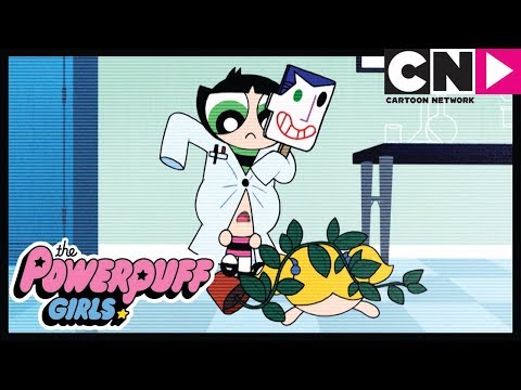 Суперкрошки | День родителей | Cartoon Network