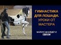 Гимнастика для лошади. Уроки мастерства работы в руках и на корде.