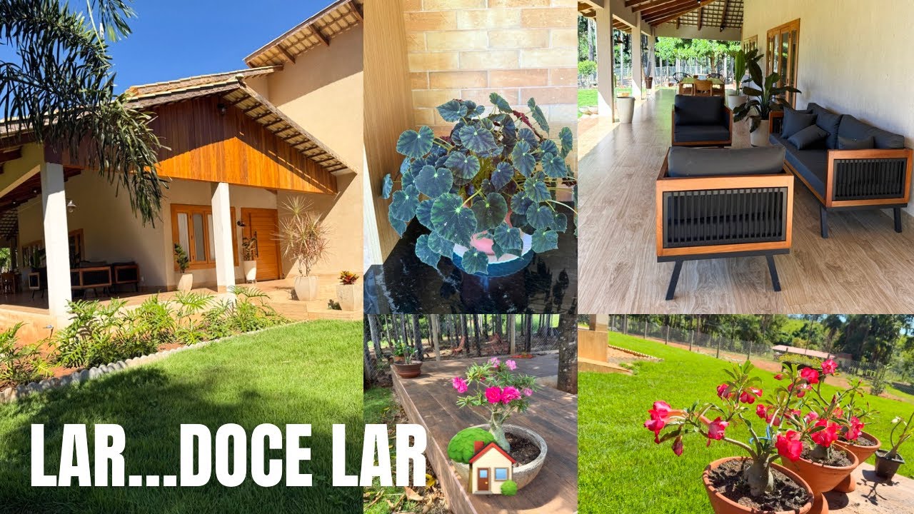 MÃOS A OBRA CUIDANDO DO JARDIM E DA CASA 🏡 🌺🪴