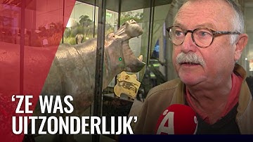 Tanja terug in Artis met eigen expo