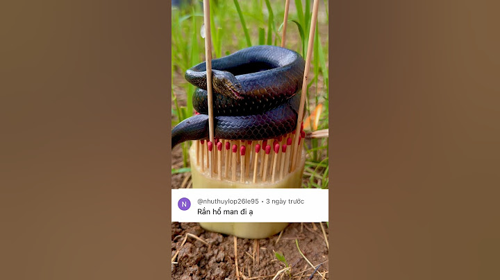 Rắn Hổ Mang Nướng Diêm 🐍