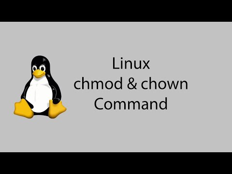 Learn Linux #16