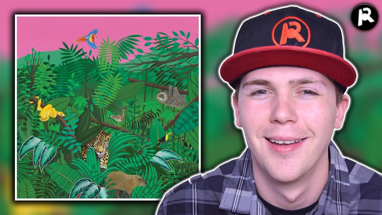 TURNOVER GOOD NATURE ALBUM REVIEW YouTube